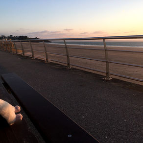 Scène de la vie (dé)confidienne - #26