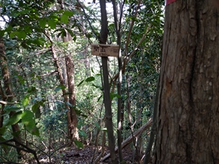 関山山頂