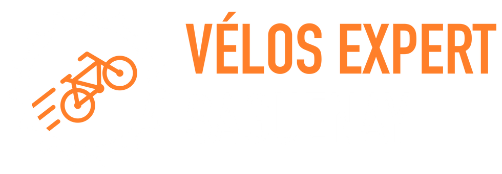 Logo VES.png