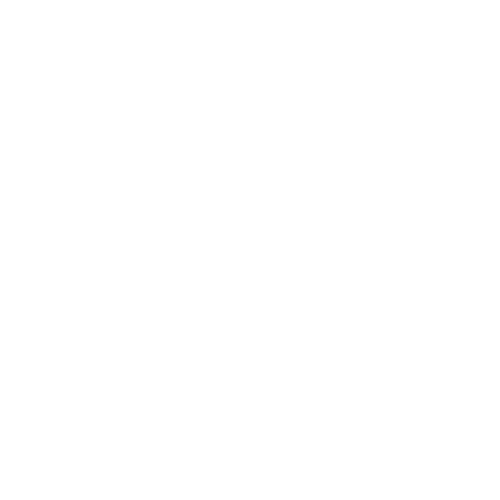 MERKIINTERNATIONAL LOGObeyaz.png
