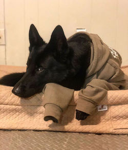 82299731-2698616137032190-80911574156905