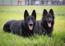 82403616-485516148807805-650987011509216