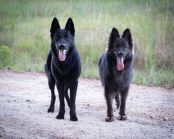 82732558-2724811464463041-28308793750527