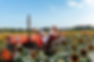 FY8A7085-2.jpg