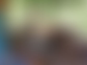 The Mission Continues...