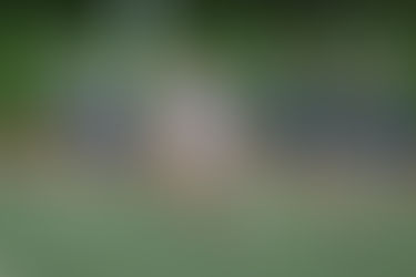 Fueling Success: Catering Services for Sports Teams at A Fresh Connection