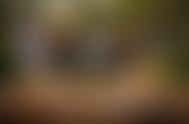 🎉 Birthday Party Catering in St. Petersburg: When Celebrations Get Bigger, Food Gets Smarter