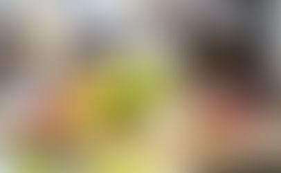 Catering for a Celebration of Life or Funeral in St. Petersburg and Tampa: Elevate the Memory