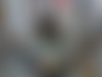 Elevate Your St. Pete Event Catering with A Fresh Connection: A Culinary Highlight at the Grand Prix 2024