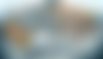 Behind the Scenes with Tampa Bay's Top Caterer: Crafting Unique Culinary Experiences at A Fresh Connection