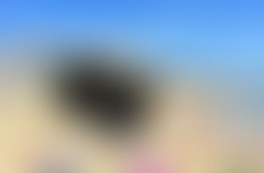 Elevate Your Spring Break Celebration with Premium Catering Services by A Fresh Connection Catering