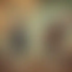 Pilgrims Get the Credit, But Florida Threw the First Thanksgiving Feast (I think...)