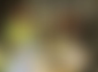 Why A Fresh Connection Catering is Your Top Choice for Buffet Catering in St. Petersburg and Tampa