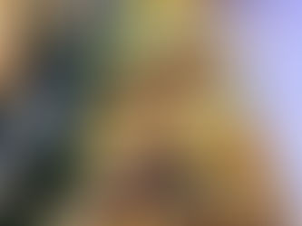 A Fresh Connection: The Secret Ingredient for Memorable Events in St. Petersburg and Tampa