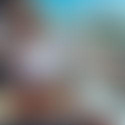 Elevate Your Grand Prix Excitement: Gourmet Catering for St. Petersburg 2024 by A Fresh Connection