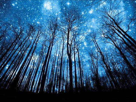 Unlock the Magic of Mid-Summer Dreams: Where Flavor Meets Fantasy!