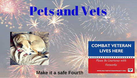 A Gentle Reminder: Creating a Safe and Considerate 4th of July Celebration