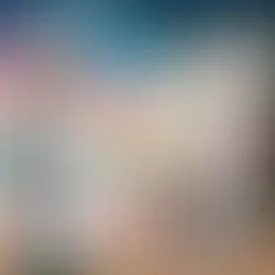 Holiday Party Catering Made Easy: A Fresh Connection's Tips for Post-Hurricane Events in Tampa Bay