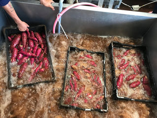 Cleaning carrot and sweet potato