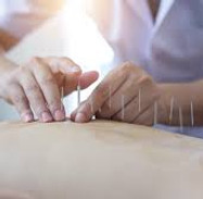 images (15).jpg