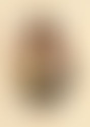 La princesa que no quería ser rescatada. Quinto relato de Cantares No Autorizados del Reino de Nim