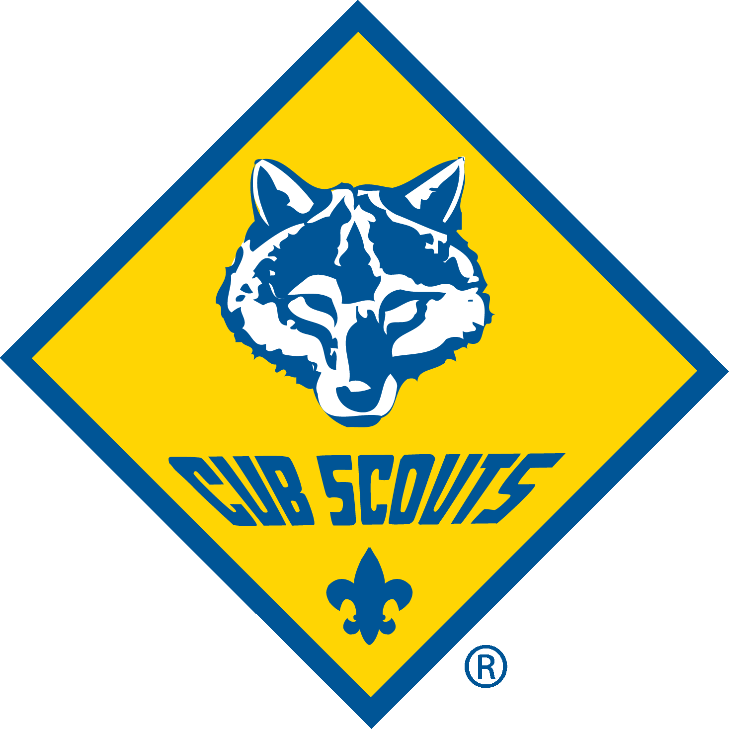 Cub Scouts
