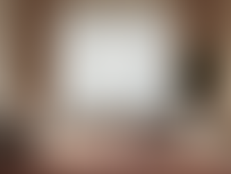 Diseño de interiores de alta gama en ZAJU