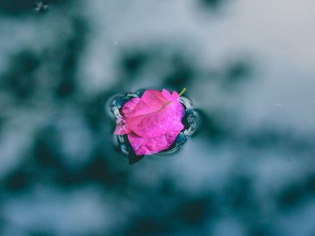 Take Care of Your Inner Being