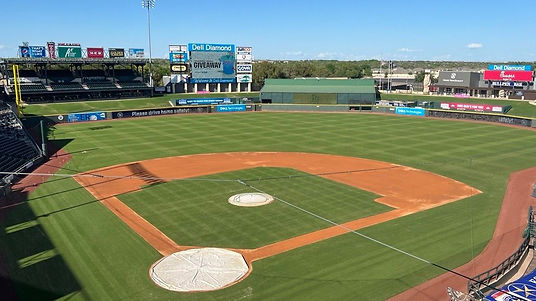 dell diamond.jpg