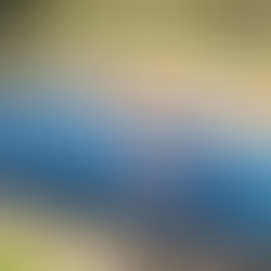 Controlled Fermentation Process