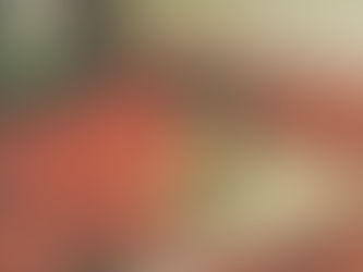 :: Sol em Leão 2020 (23.07 - 22.08)