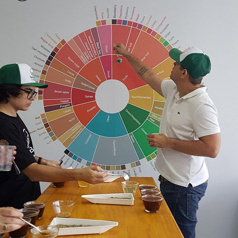 The Coffee Cupping Wheel