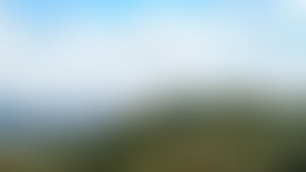 Coffee from capixaba mountains wins geographical indication