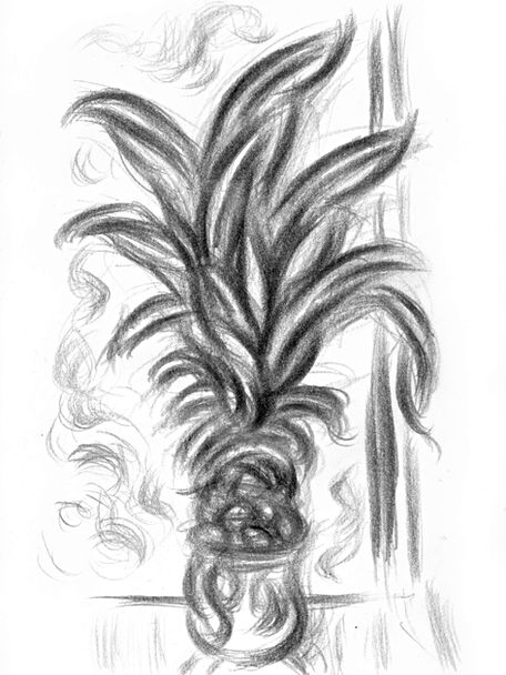Pineapple in a cup 2. 15x21cm, pencil on paper.jpg