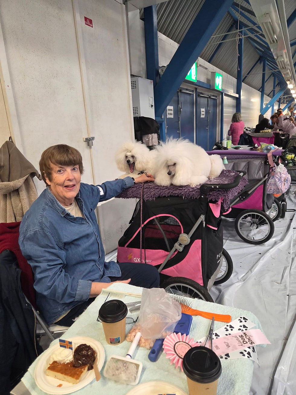 Annette med pojkarna Freddie och Eros, samt ålandspannka vid ringside.