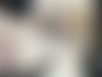 En pudelvalp som vilar