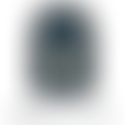 The Story Behind the Logo