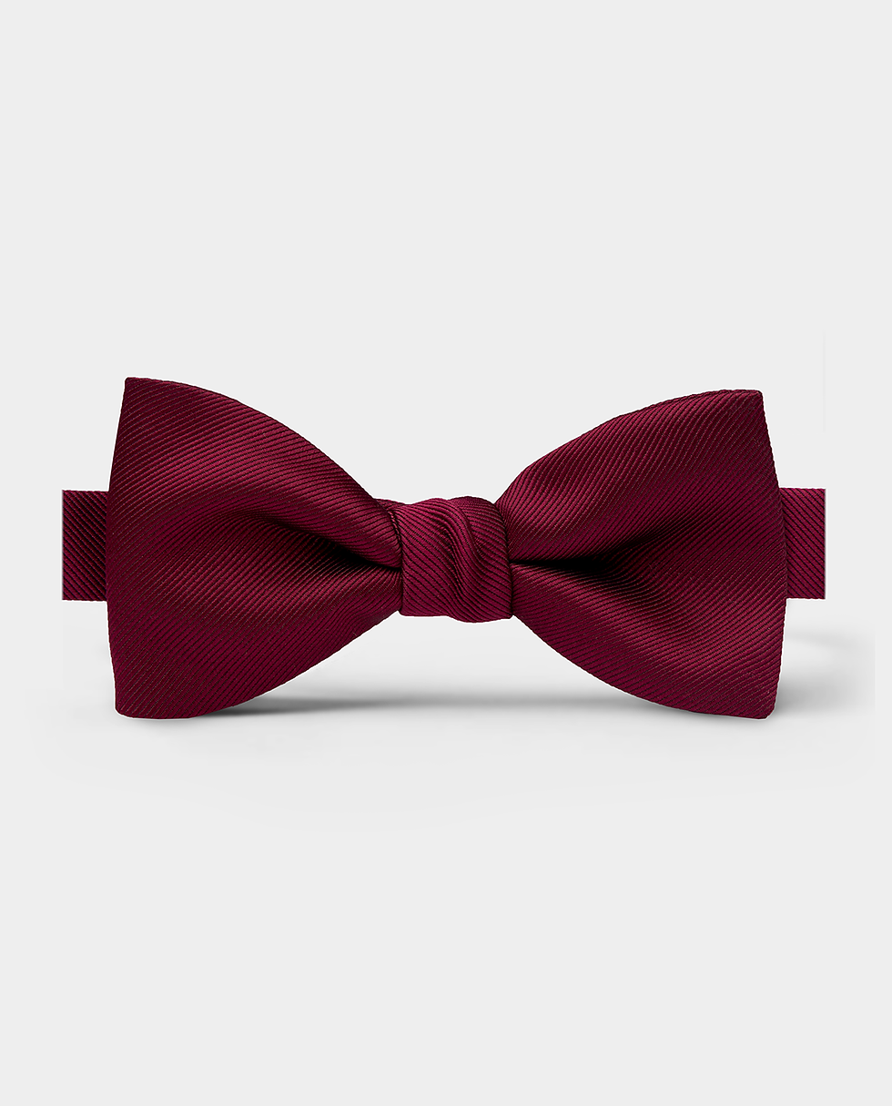 Satin Wine Pre-Tied Bow Tie (standing shot)