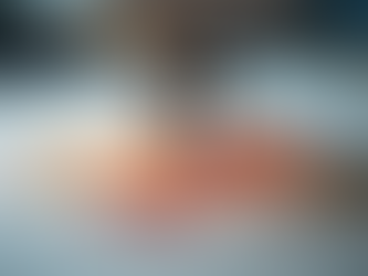 Comprendre les processus de numérisation de la broderie