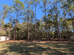 Why We Pay More For The Lot And Why It Changes Everything.