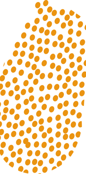 Blue Dots_edited.png