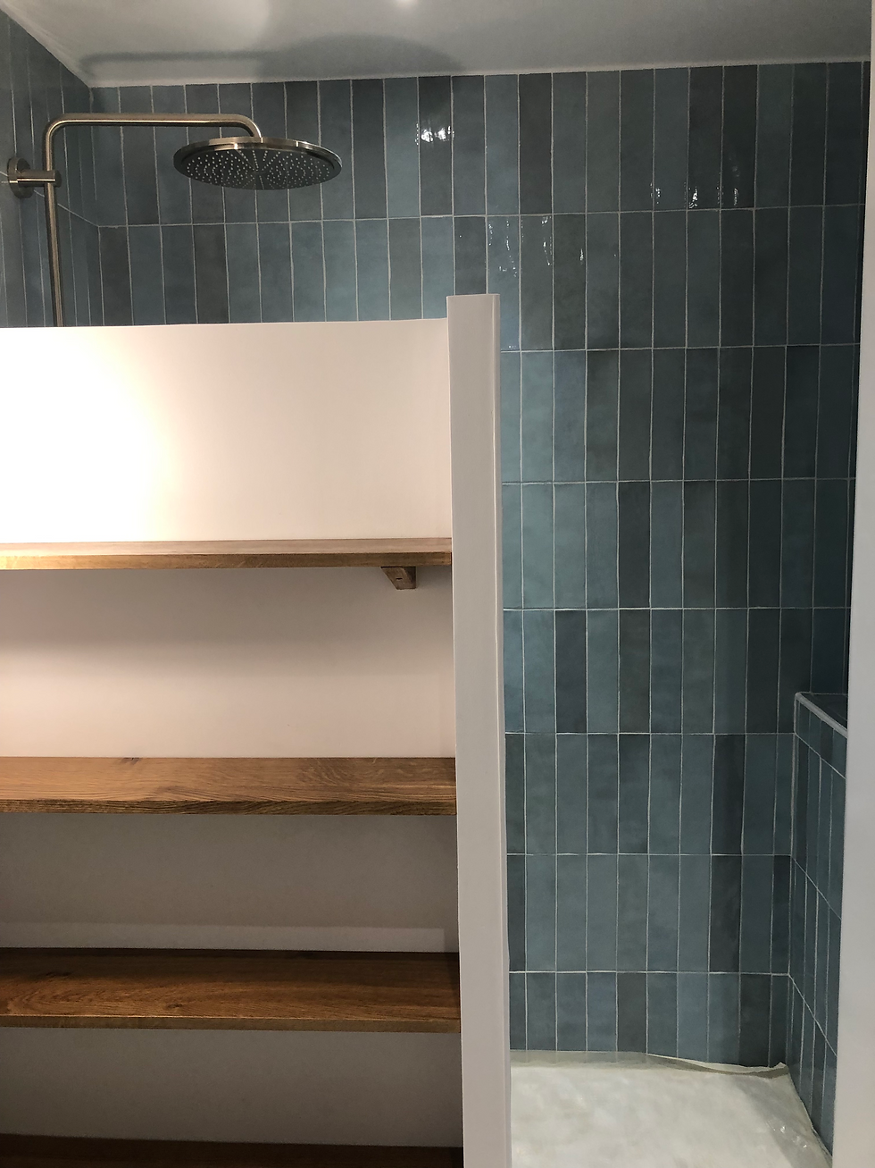 Projet Molitor, vue d'ensemble
