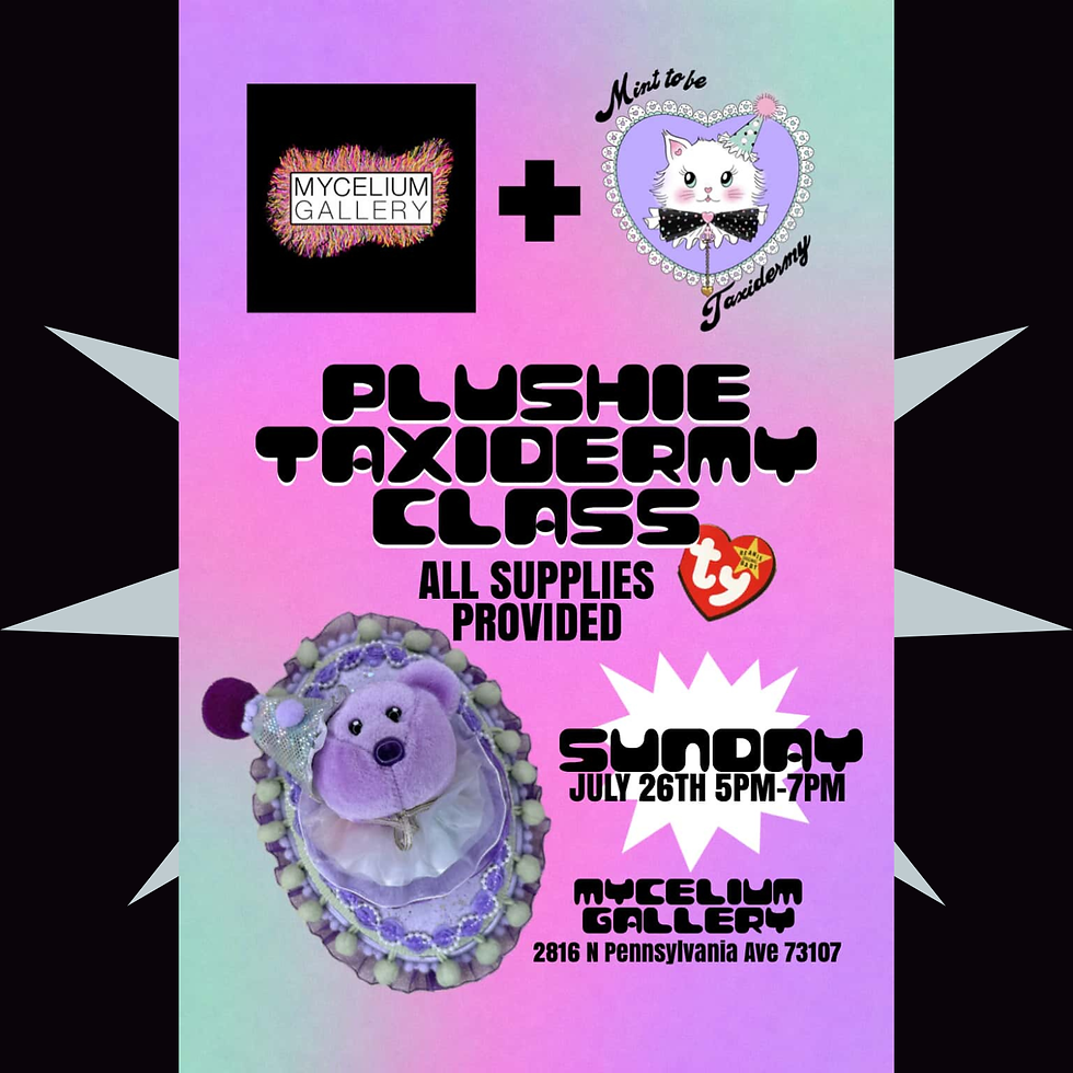 Plushie Taxidermy Class