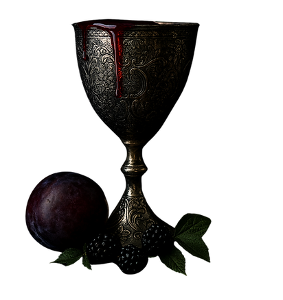 Fruit and Gothic Goblet photo for Muse and Misfit brand design studio 