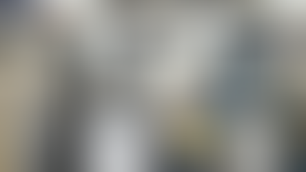 Do you need annual scale inspections?