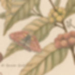 Thumbnail: Coffea Cerebrum - original painting