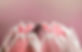 shutterstock_405542851.jpg