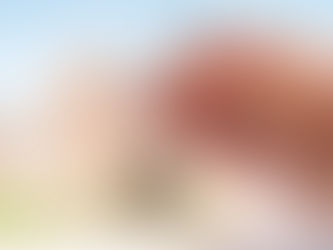 Property ownership advice