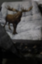 Lazy Daisy quilt with majestic moose in snowy forest and woodland magic