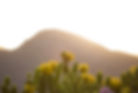 shutterstock_1735992020.jpg